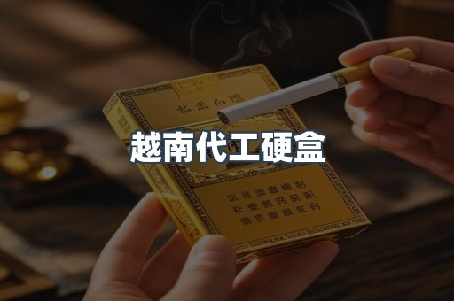 越南代工硬盒